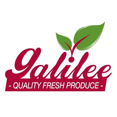 Galilee Export