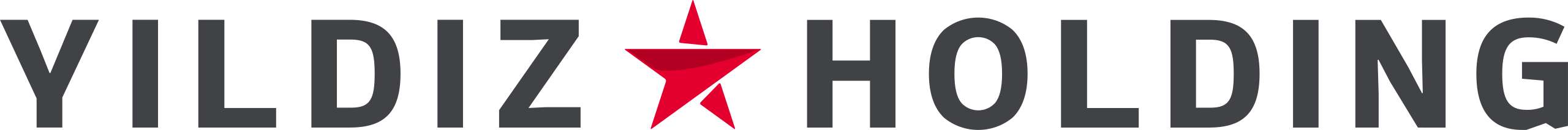 Yıldız Holding